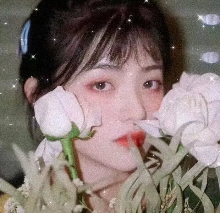 杜鲁门总统传